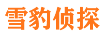 台前侦探调查公司